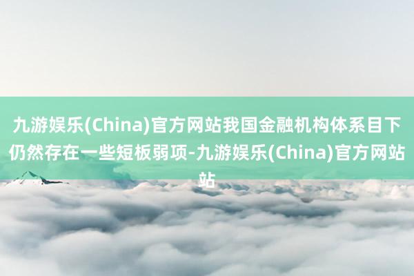 九游娱乐(China)官方网站我国金融机构体系目下仍然存在一些短板弱项-九游娱乐(China)官方网站