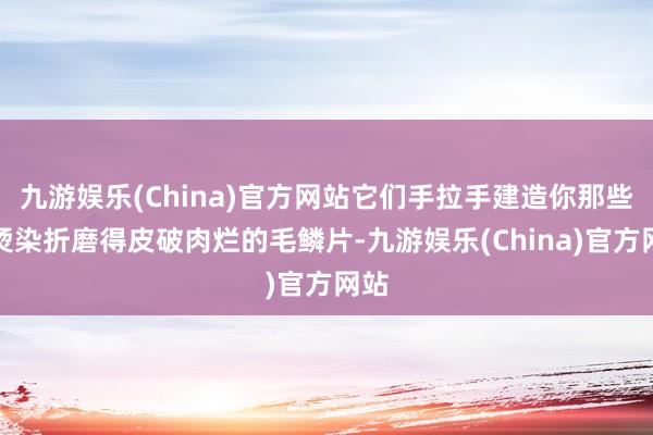 九游娱乐(China)官方网站它们手拉手建造你那些被烫染折磨得皮破肉烂的毛鳞片-九游娱乐(China)官方网站