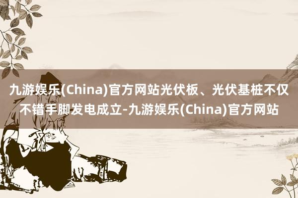 九游娱乐(China)官方网站光伏板、光伏基桩不仅不错手脚发电成立-九游娱乐(China)官方网站