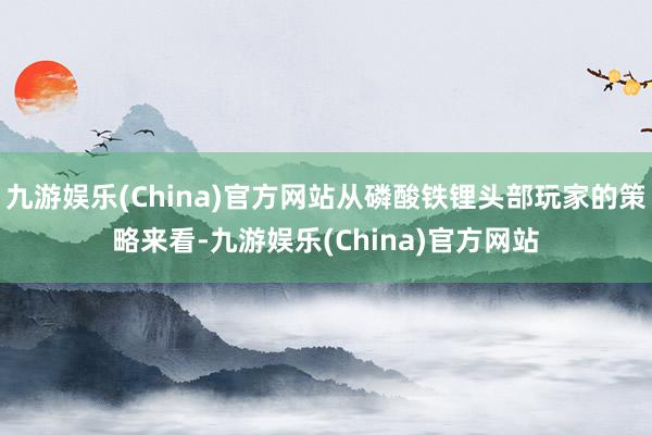 九游娱乐(China)官方网站从磷酸铁锂头部玩家的策略来看-九游娱乐(China)官方网站